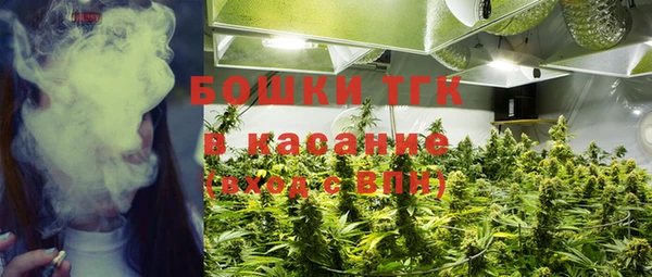 spice Касимов