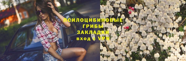 spice Касимов