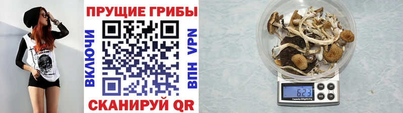 Галлюциногенные грибы GOLDEN TEACHER  Купить закладки  Краснокамск 
